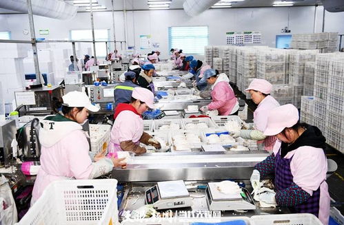 日產(chǎn)量達70噸，產(chǎn)值60余萬元 工廠化種植食用菌助農(nóng)增收的技術(shù)開發(fā)與實踐