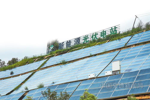 云南交投集團 以新質(zhì)生產(chǎn)力賦能綠美通道經(jīng)濟，推動種植技術(shù)開發(fā)創(chuàng)新